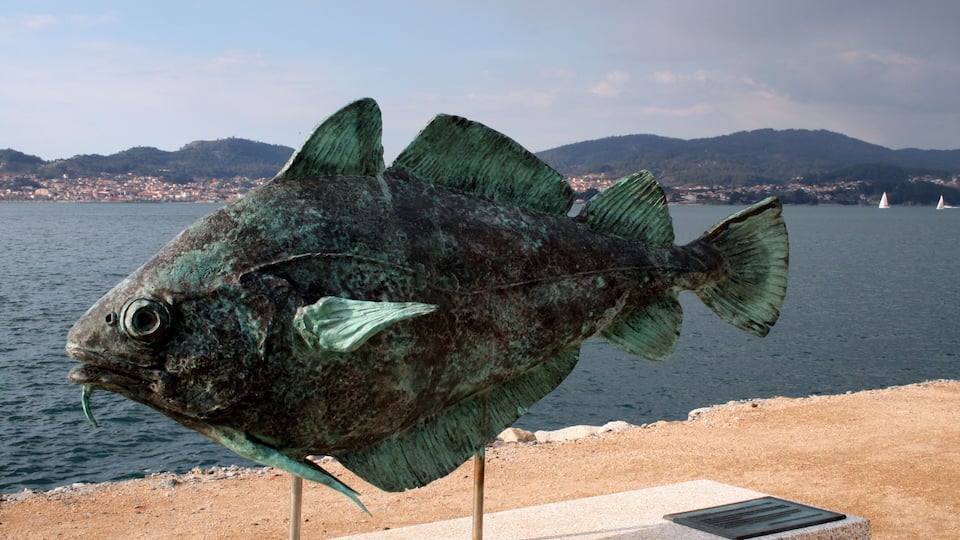 Vigo Bouzas paseo de los peces Faneca