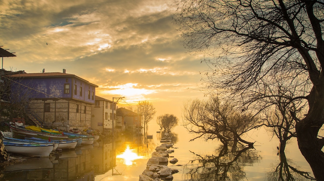 布爾沙