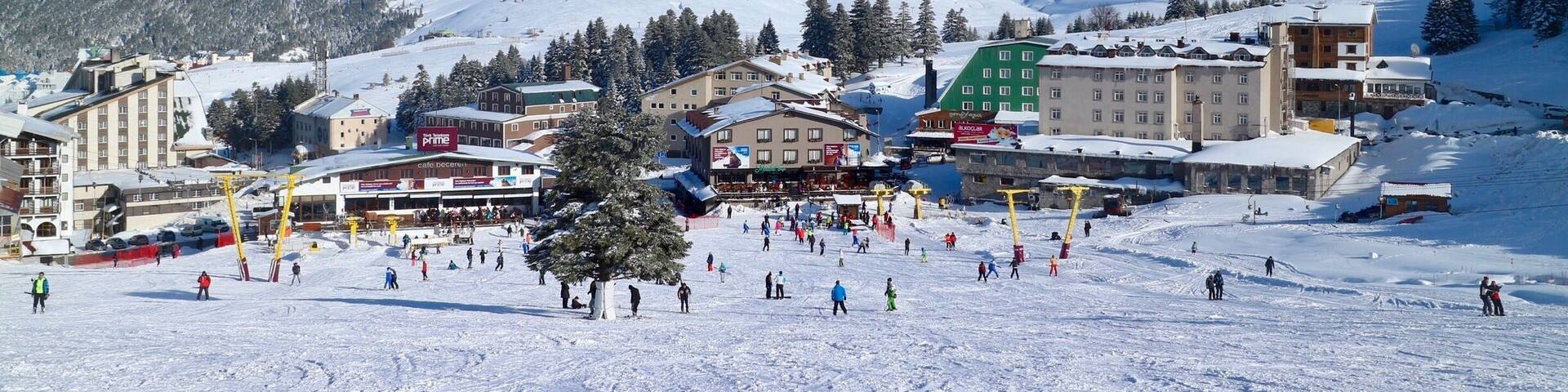 #空氣很冷。但天氣心晴都很晴。