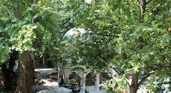 Koza Han, Bursa, Turkey
#green #greenphotosweepstakes #photooftheday #photo #travel #holiday #history #nofilter #bursa #turkey