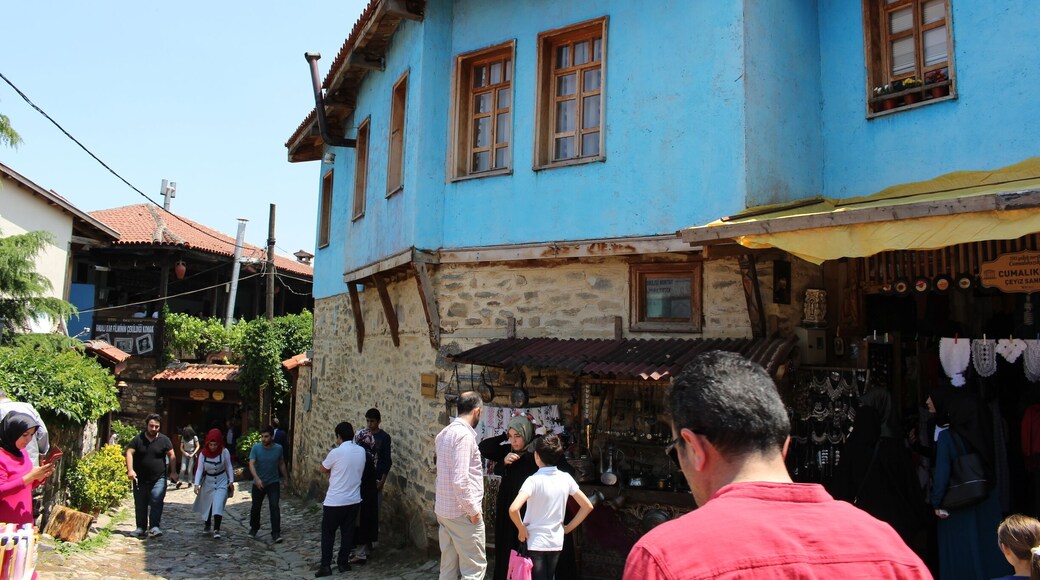 Cumalıkızık, Bursa, Turkey
#StunningStructures #cumalıkızık #bursa #turkey #nofilter #travel #holiday #history #photoofday #photo