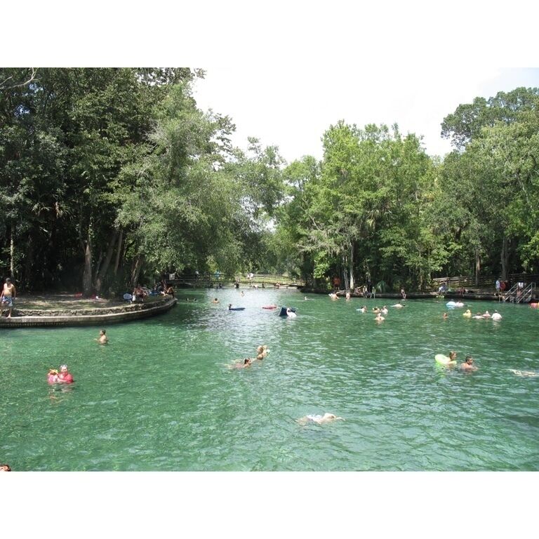 Forget Orlando, Welcome to the real Florida! 