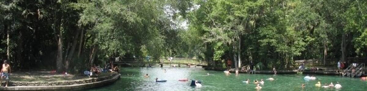 Forget Orlando, Welcome to the real Florida!