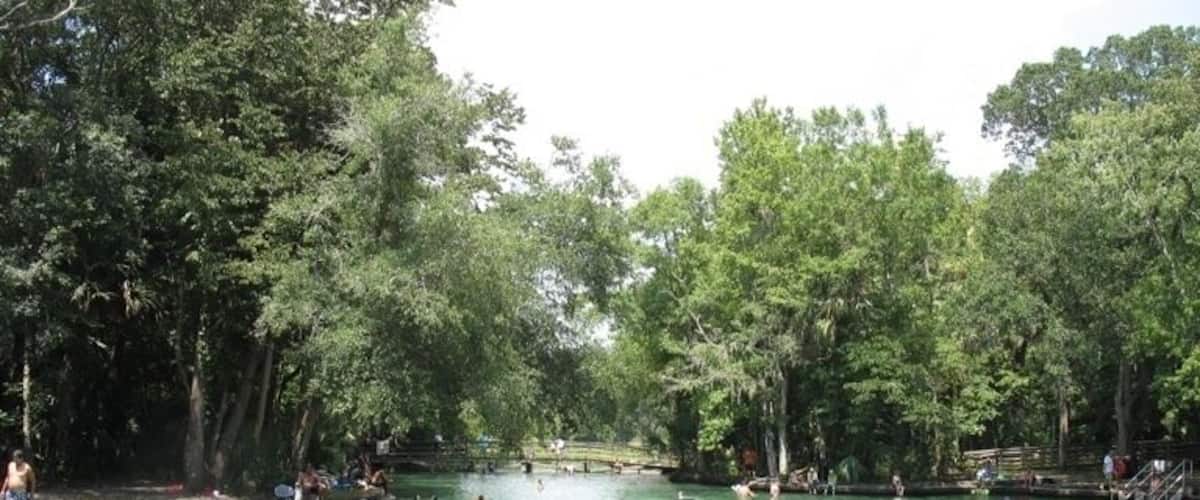 Forget Orlando, Welcome to the real Florida!