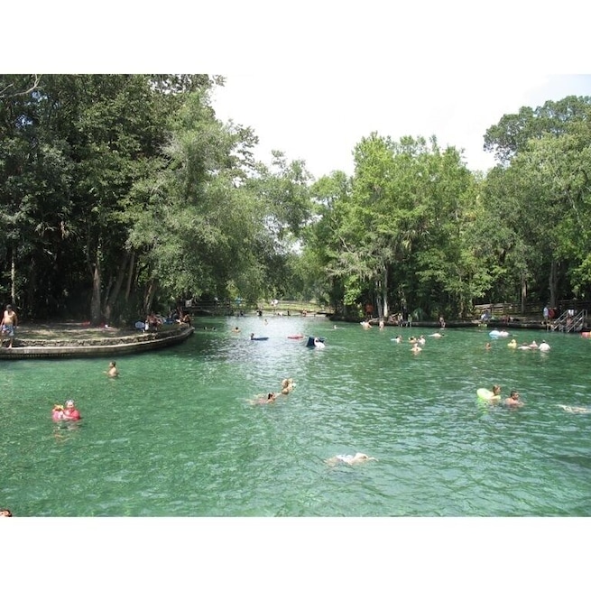 Forget Orlando, Welcome to the real Florida!