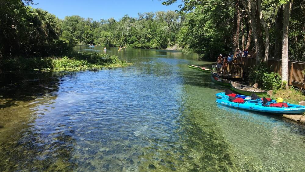 Wekiva Springs state park in Longwood Florida is a great place and very affordable !
You pay only $6 per car up to 8 people in the car! You can enjoy hiking the trails around the park or enjoy the natural pool with natural wells! Canoeing or cayaking down the river!