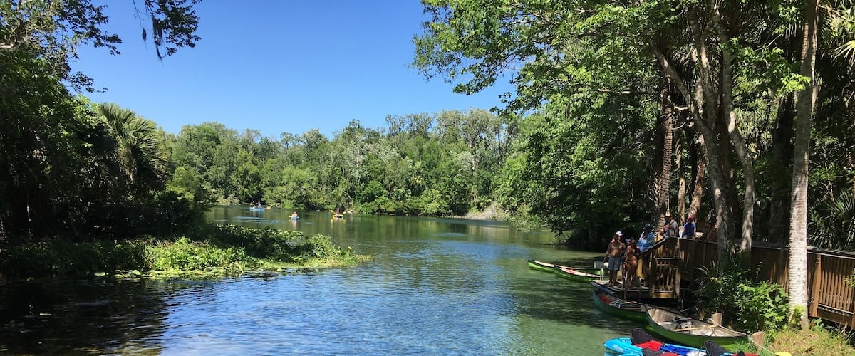 Wekiva Springs state park in Longwood Florida is a great place and very affordable ! 
You pay only $6 per car up to 8 people in the car! You can enjoy hiking the trails around the park or enjoy the natural pool with natural wells! Canoeing or cayaking down the river!