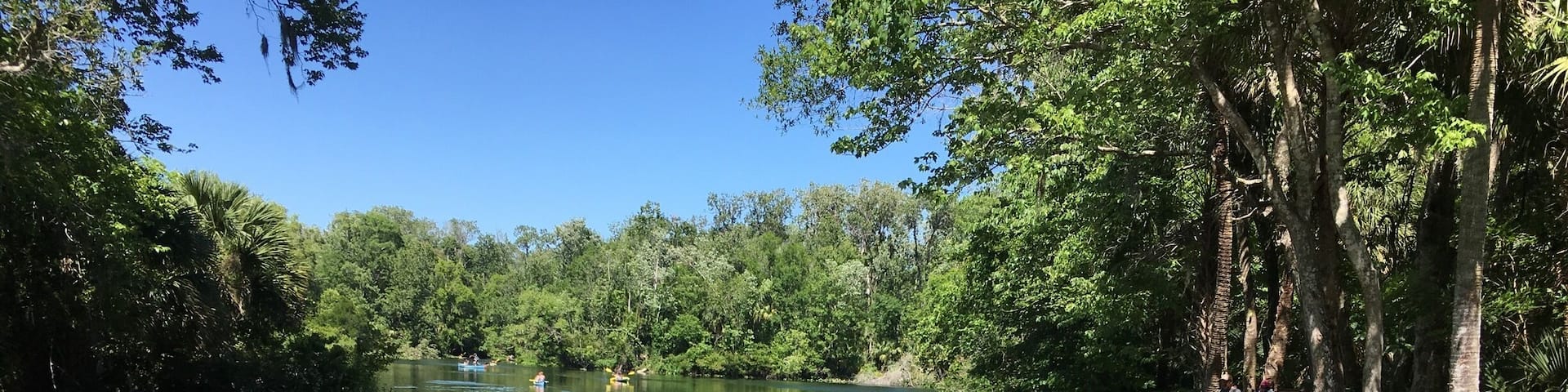 Wekiva Springs state park in Longwood Florida is a great place and very affordable !
You pay only $6 per car up to 8 people in the car! You can enjoy hiking the trails around the park or enjoy the natural pool with natural wells! Canoeing or cayaking down the river!