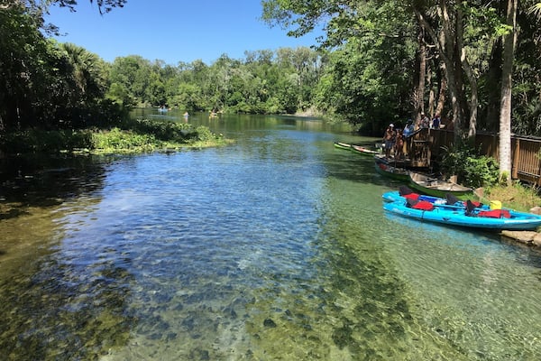 Wekiva Springs state park in Longwood Florida is a great place and very affordable !
You pay only $6 per car up to 8 people in the car! You can enjoy hiking the trails around the park or enjoy the natural pool with natural wells! Canoeing or cayaking down the river!