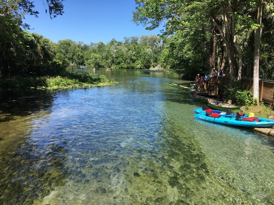 Wekiva Springs state park in Longwood Florida is a great place and very affordable !
You pay only $6 per car up to 8 people in the car! You can enjoy hiking the trails around the park or enjoy the natural pool with natural wells! Canoeing or cayaking down the river!