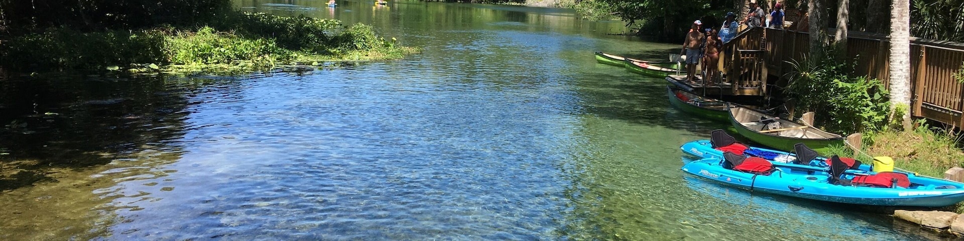 Wekiva Springs state park in Longwood Florida is a great place and very affordable !
You pay only $6 per car up to 8 people in the car! You can enjoy hiking the trails around the park or enjoy the natural pool with natural wells! Canoeing or cayaking down the river!