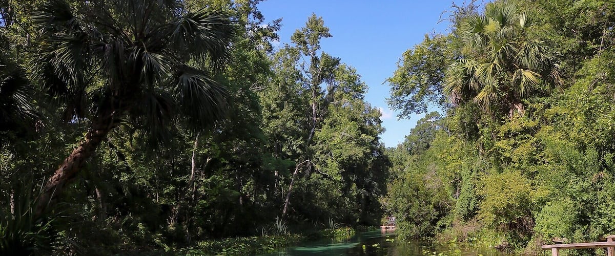 Spent two hours hiking this park today, it was beautiful. Didn’t get to step into the crystal clear water though... just hiked the trails and explored the wilderness.