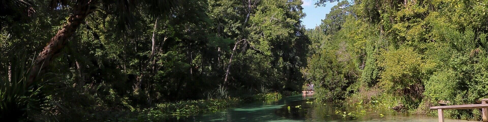 Spent two hours hiking this park today, it was beautiful. Didn’t get to step into the crystal clear water though... just hiked the trails and explored the wilderness.
