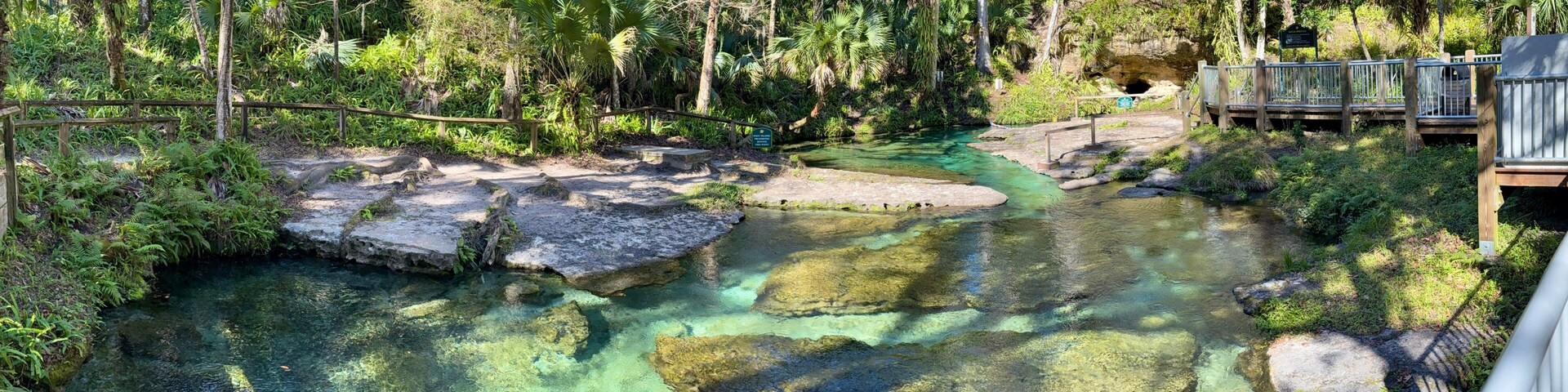 A clear stream with rocks, surrounded by dense greenery and a wooden bridge.