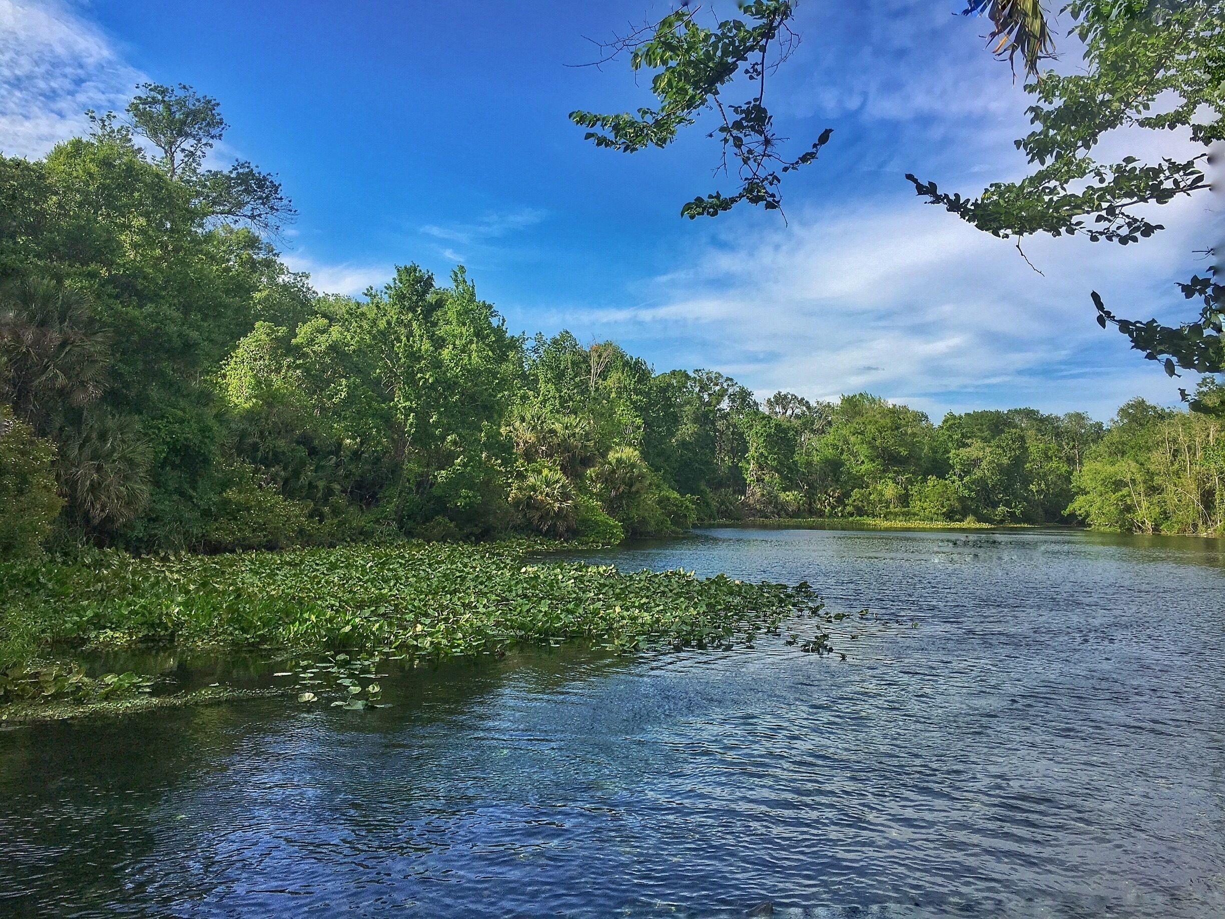 Got to snap this beautiful photo 4/20/16. First time to the springs and I will be back