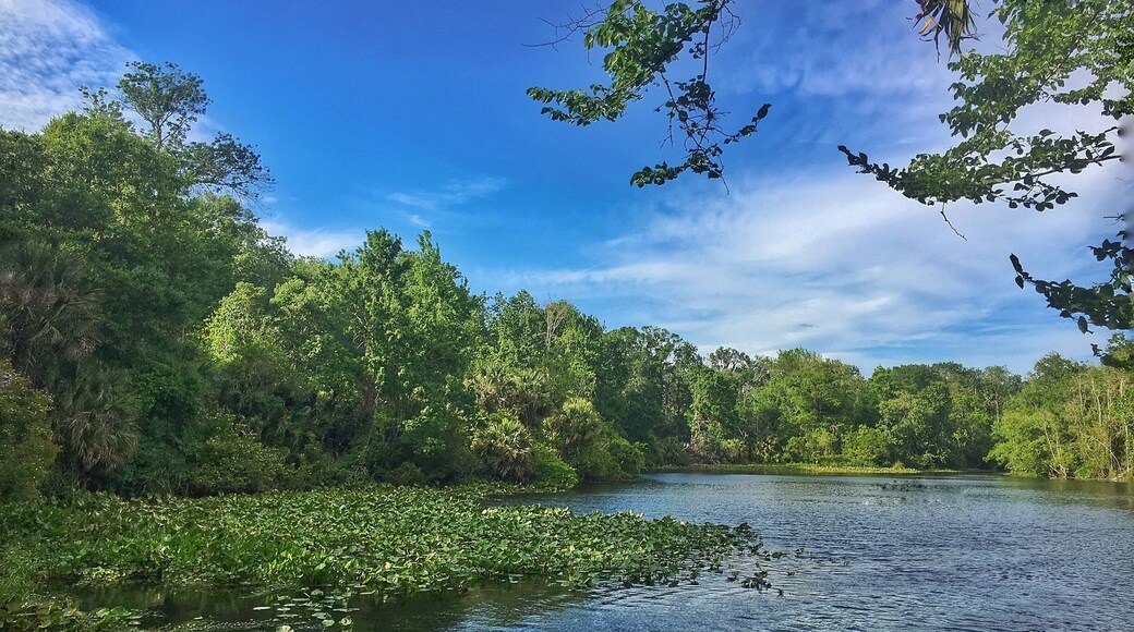 Got to snap this beautiful photo 4/20/16. First time to the springs and I will be back