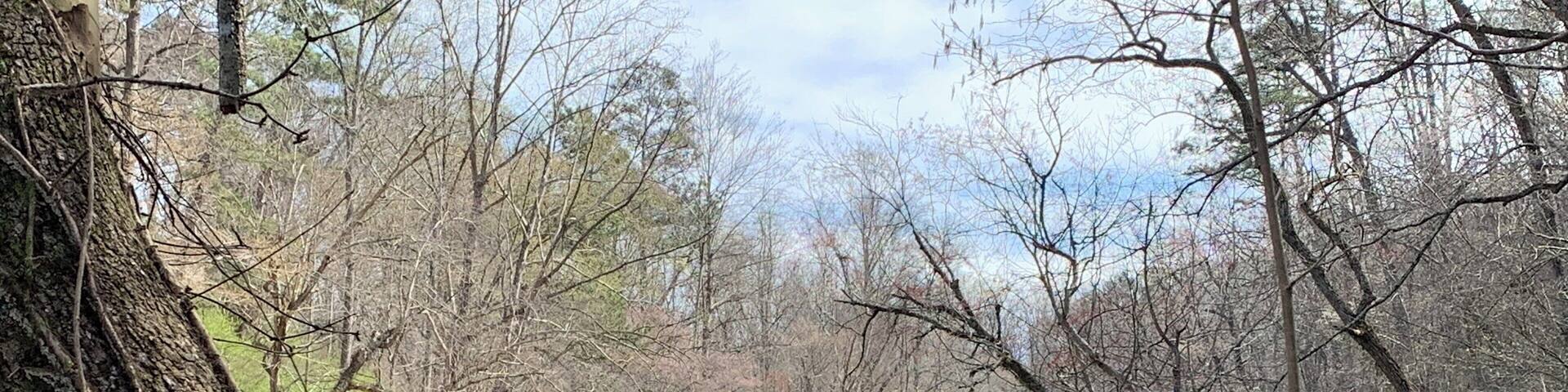 Vickery creek at Roswell