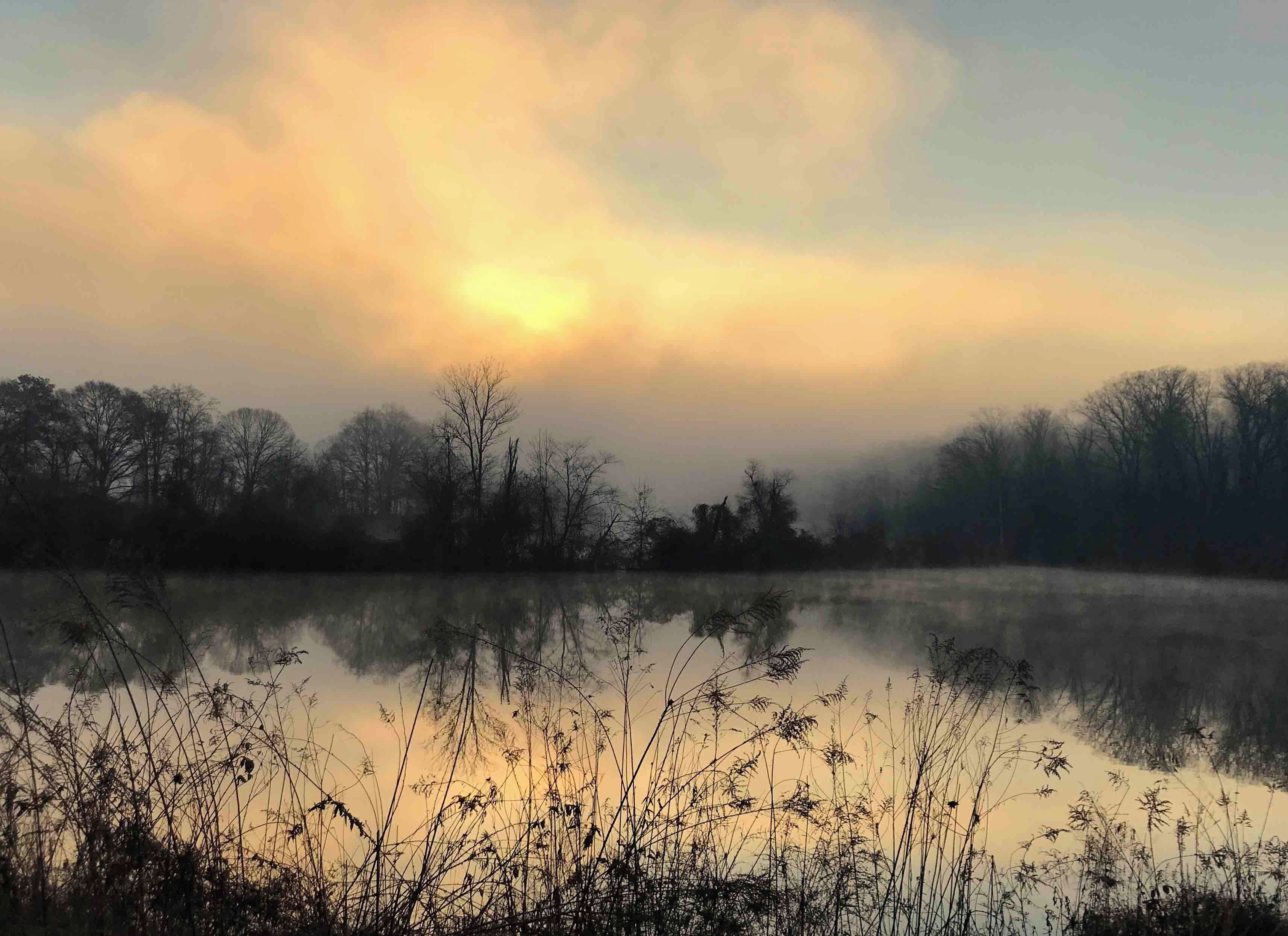 Lovely little park at the beginning/end of Roswell Riverwalk. My daily stop on my drive to work to look at the sunrise and if I’m lucky there’s fog on the river.