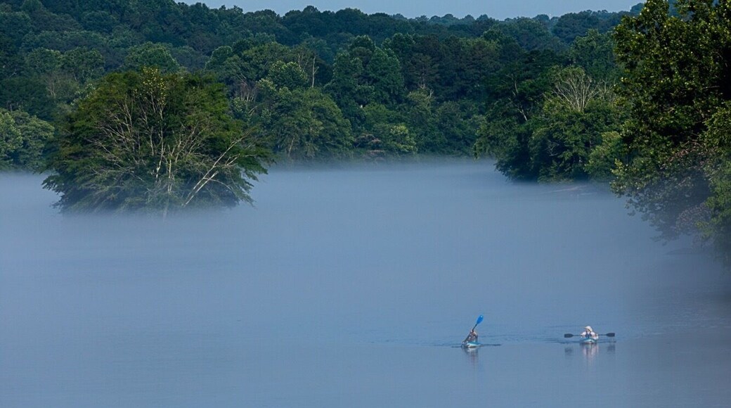 A light fog dances across the surface of the Chattahoochee River. Itâs a warm Georgia Summer morning and two kayakers emerge from the fog heading upstream.
#georgiaoutdoors #georgia #georgiaonmymind #chattahoochee #chattanoogaphotographer #river #rivers #morning #city #citylife #citylifestyle #kayaking #kayakingadventures #kayaklife #canonusa #canon5dmarkiv #canonphotography #canonlens #outdoors #outdoorlife #getoutside #roswellga #visitsandysprings #sandysprings