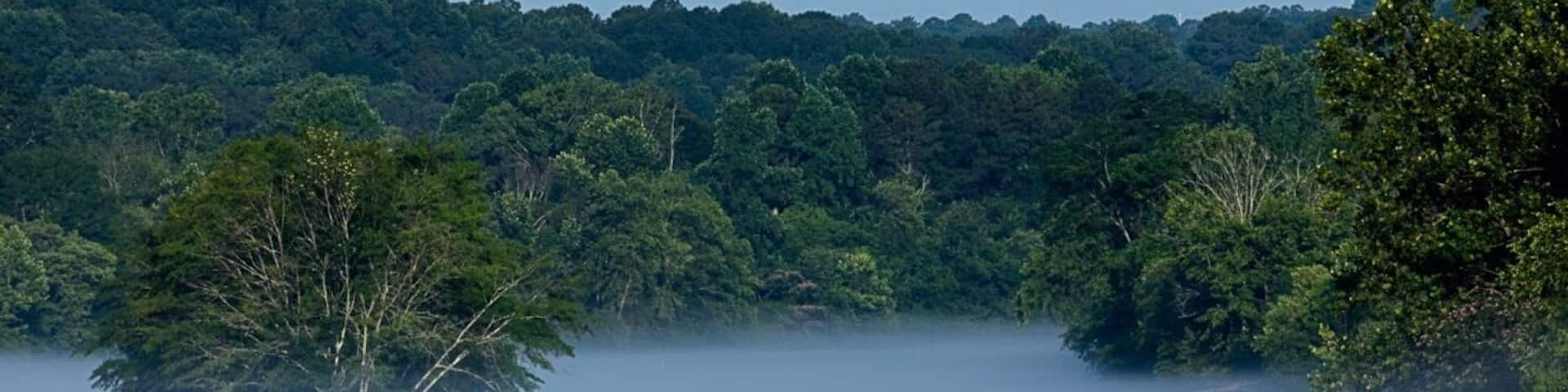 A calm lake surrounded by dense forest.