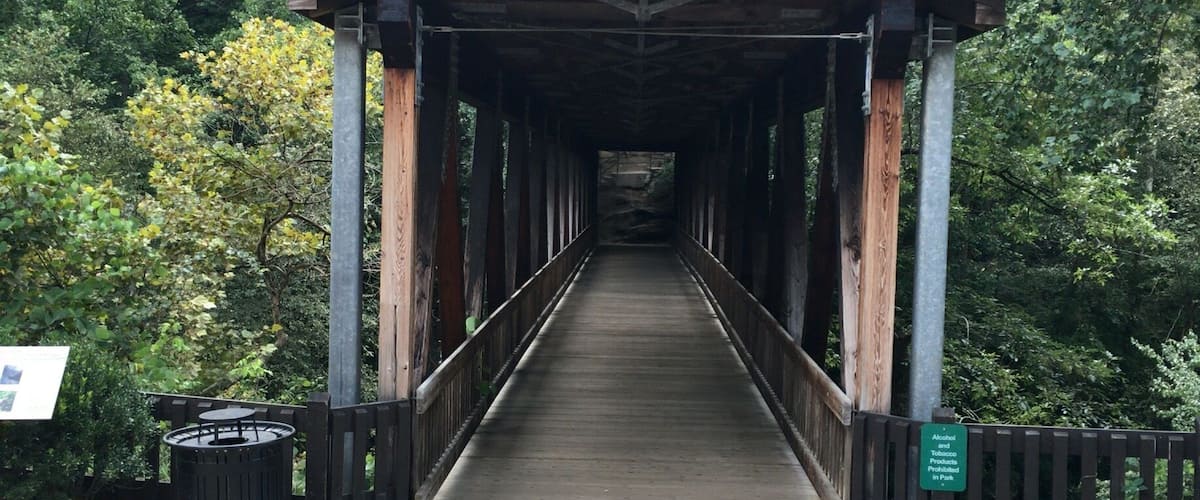 We saw three cotton mouth snakes in the creek below this bridge right after I took this picture. Not a place to go swimming