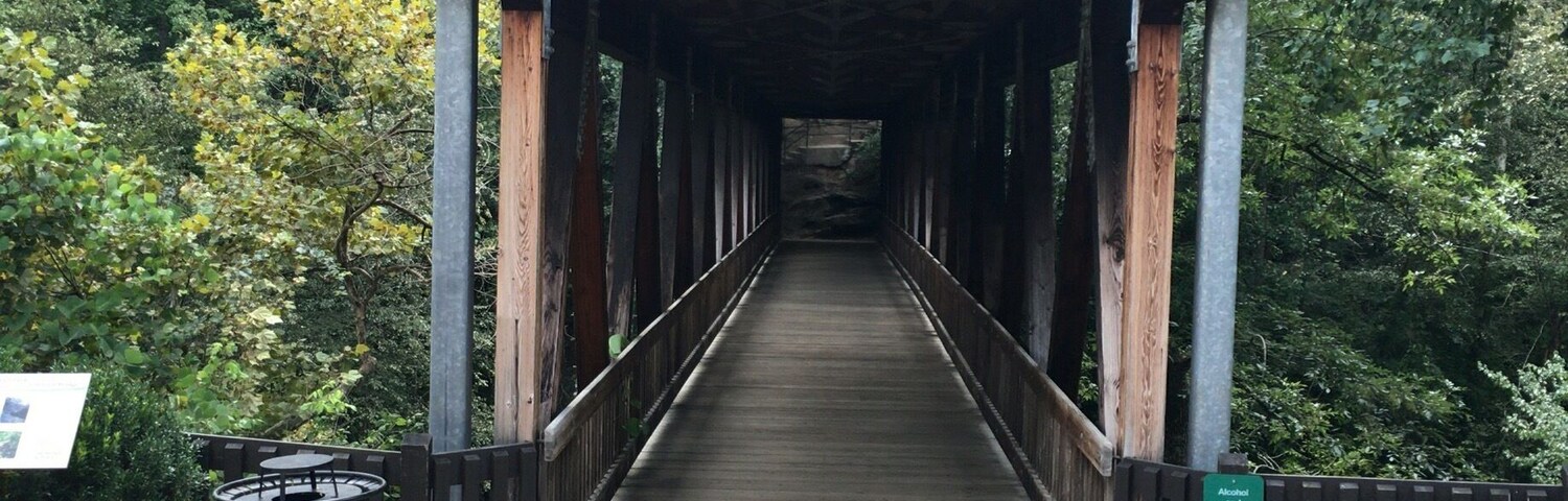 We saw three cotton mouth snakes in the creek below this bridge right after I took this picture. Not a place to go swimming