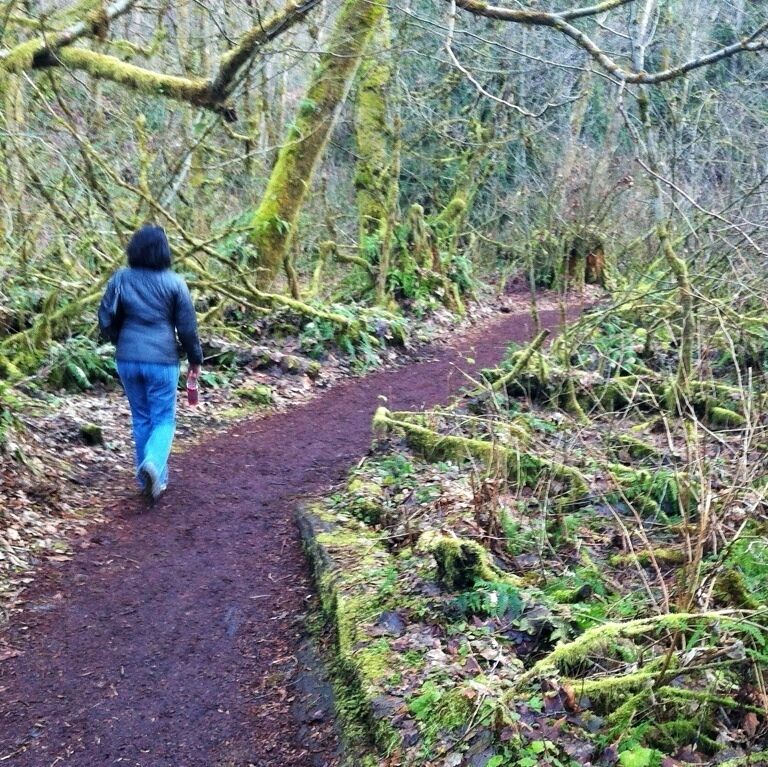 Stroll through this lovely fern covered gorge on a 3mi (4.8km) point-point hike. The trail is well groomed and barked in many areas but can become sloppy at times. Sturdy bridges cross the creek and small culverts keep the runoff from covering the trail. This is a great little nature hike in the middle of city.
