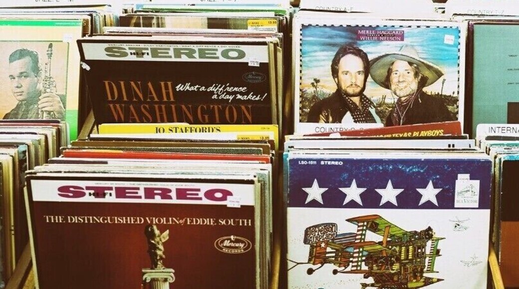 It's always fun browsing thru old records. Great place for books, too!