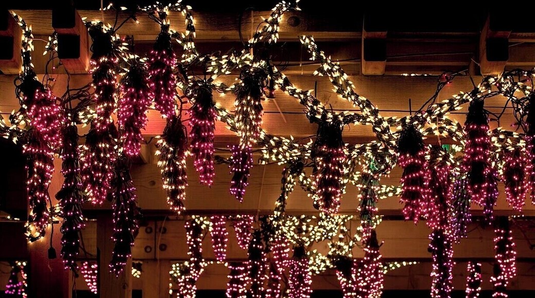 Wisteria Lane at the Garden d'Light show. Honestly, it looks better in person - a static picture just doesn't do it justice.
The show runs now through the end of the year, 5-10pm nightly. Get your $5 tickets ahead of time at http://www.gardendlights.org/.