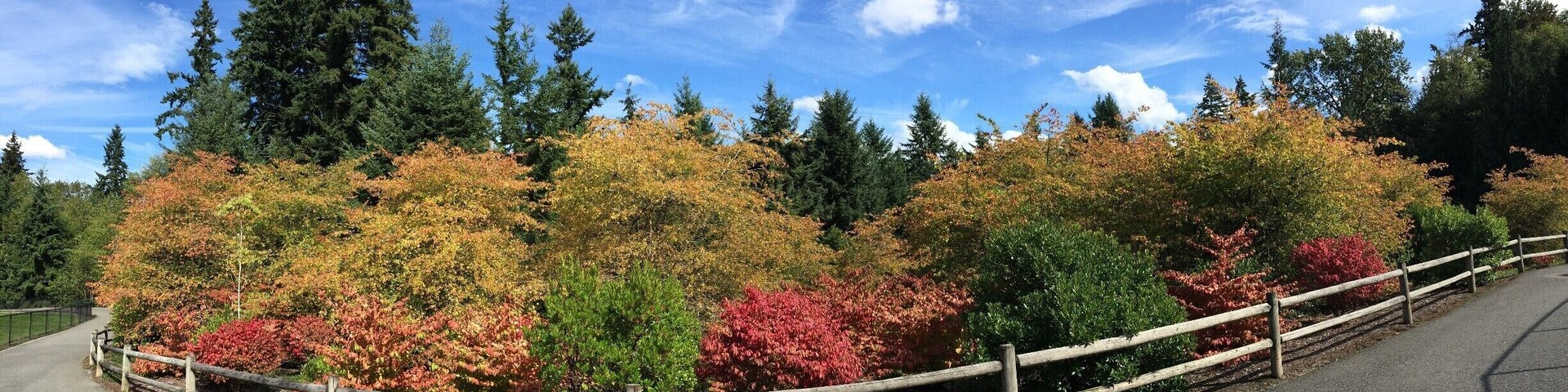 #Colorful
More great fall color at Lakemont Park.