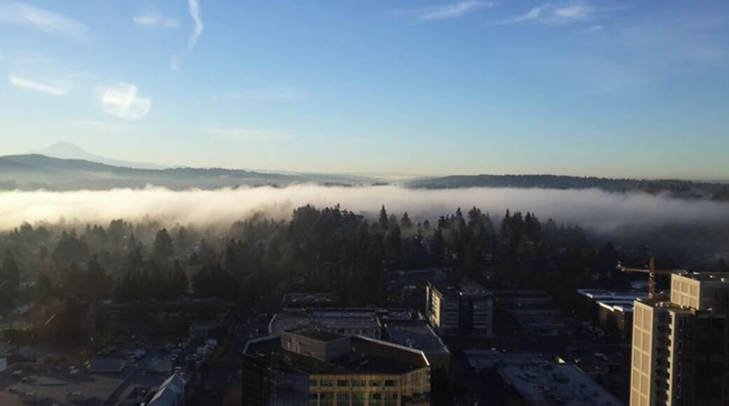 the fog is lifting!
View of Bellevue from the Expedia HQ