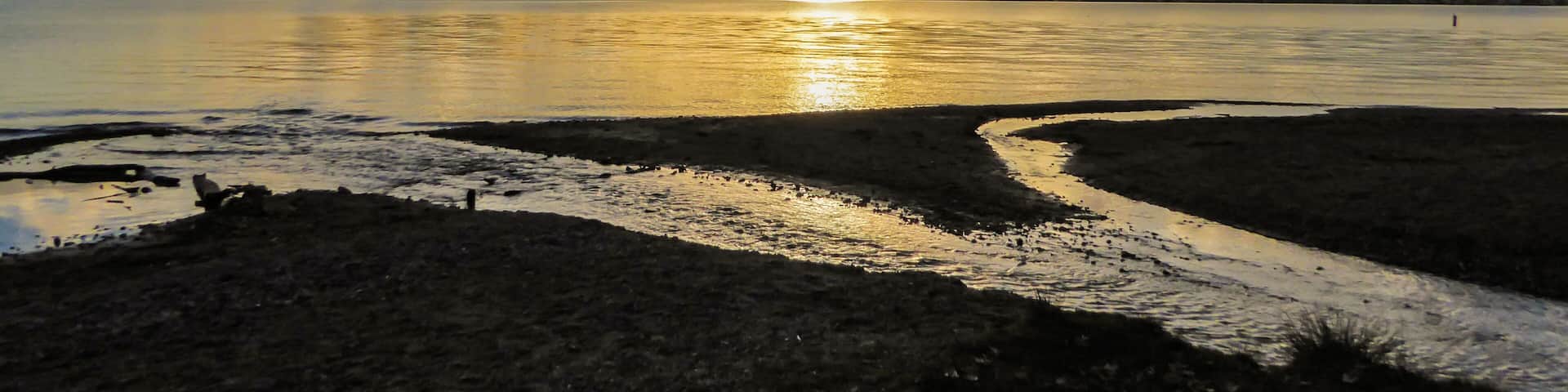 Lake Washington Sunset