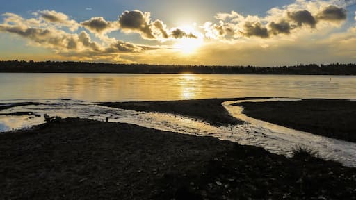 Lake Washington Sunset