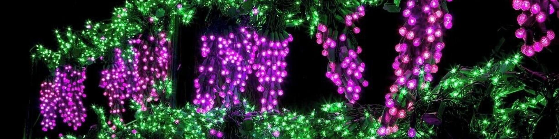 A garden with illuminated plants in green and purple lights.