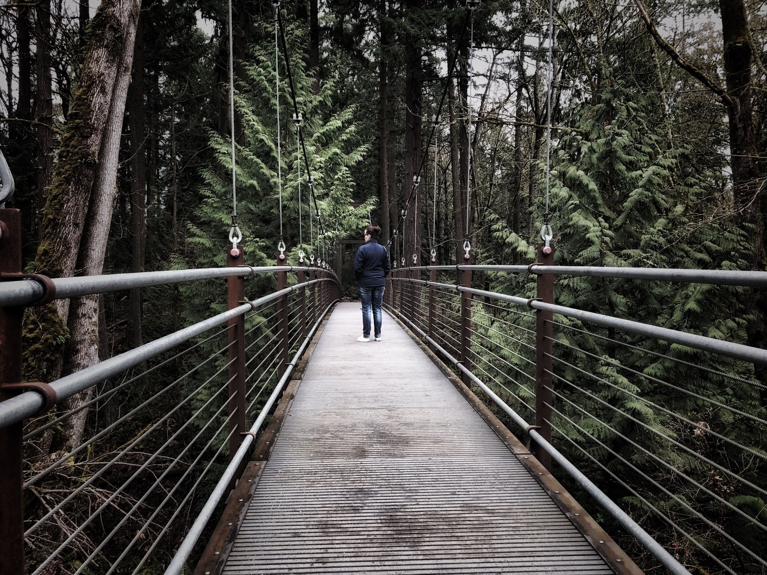 The botanical gardens in Bellevue, WA are excellent any time of year. Plus, a yummy coffee shop to enjoy a brew with a view! #LifeAtExpedia