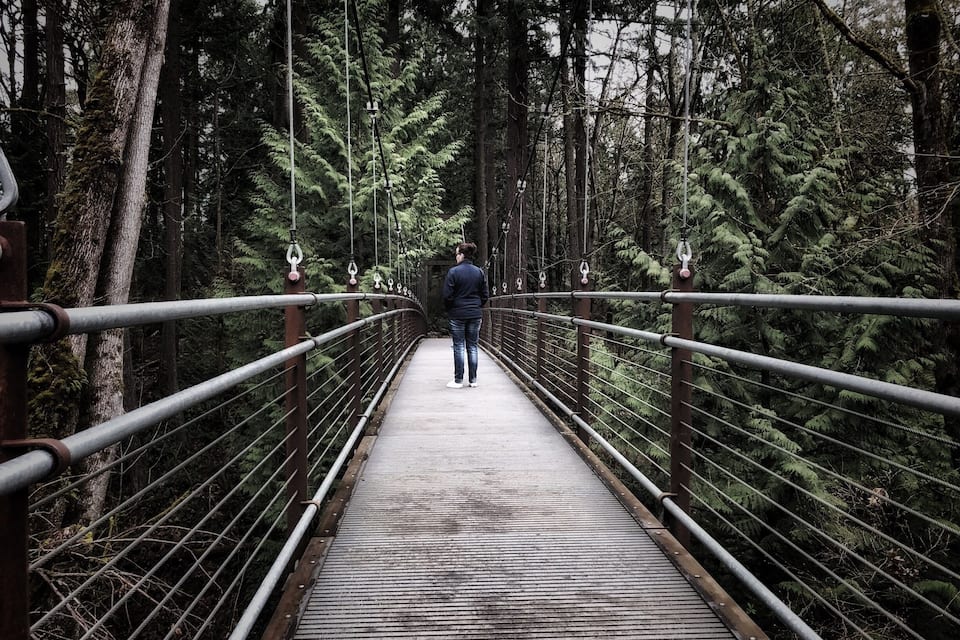 A suspension bridge in a forest.