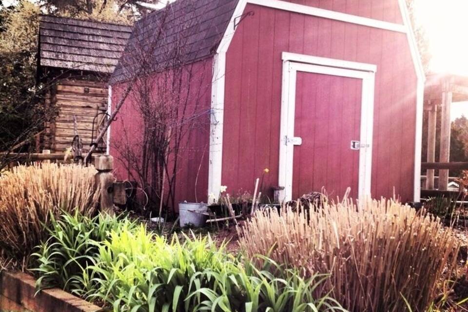 A red barn with a white door, surrounded by a garden with various plants.