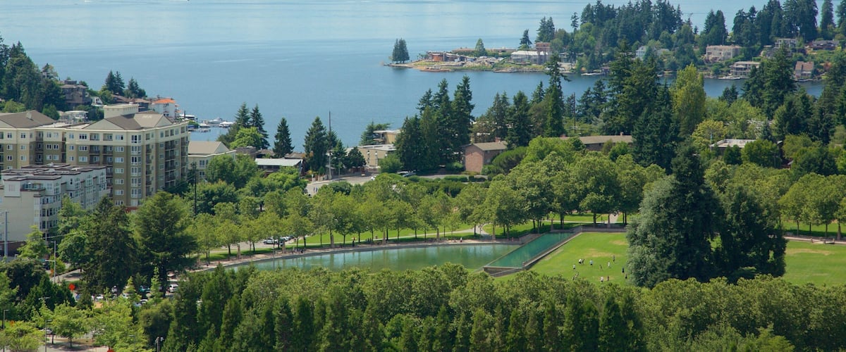 A lake surrounded by residential buildings and dense greenery.