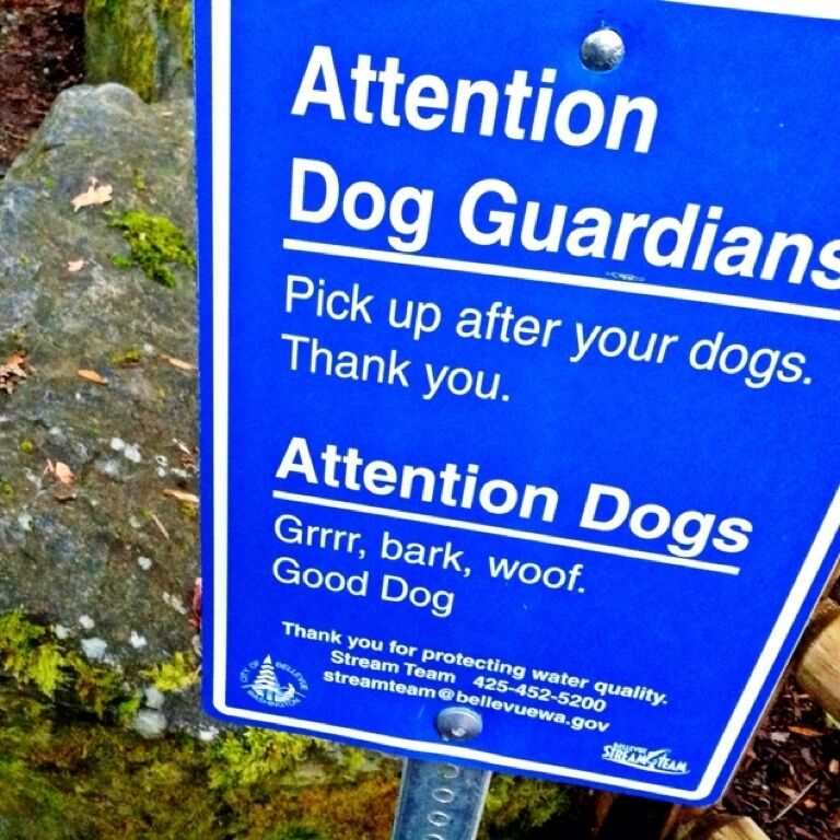Funny sign at the trailhead. This is a great little hike in south Bellevue - 3mi (4.8km) point to point through a fern-covered gorge along Coal Creek.
