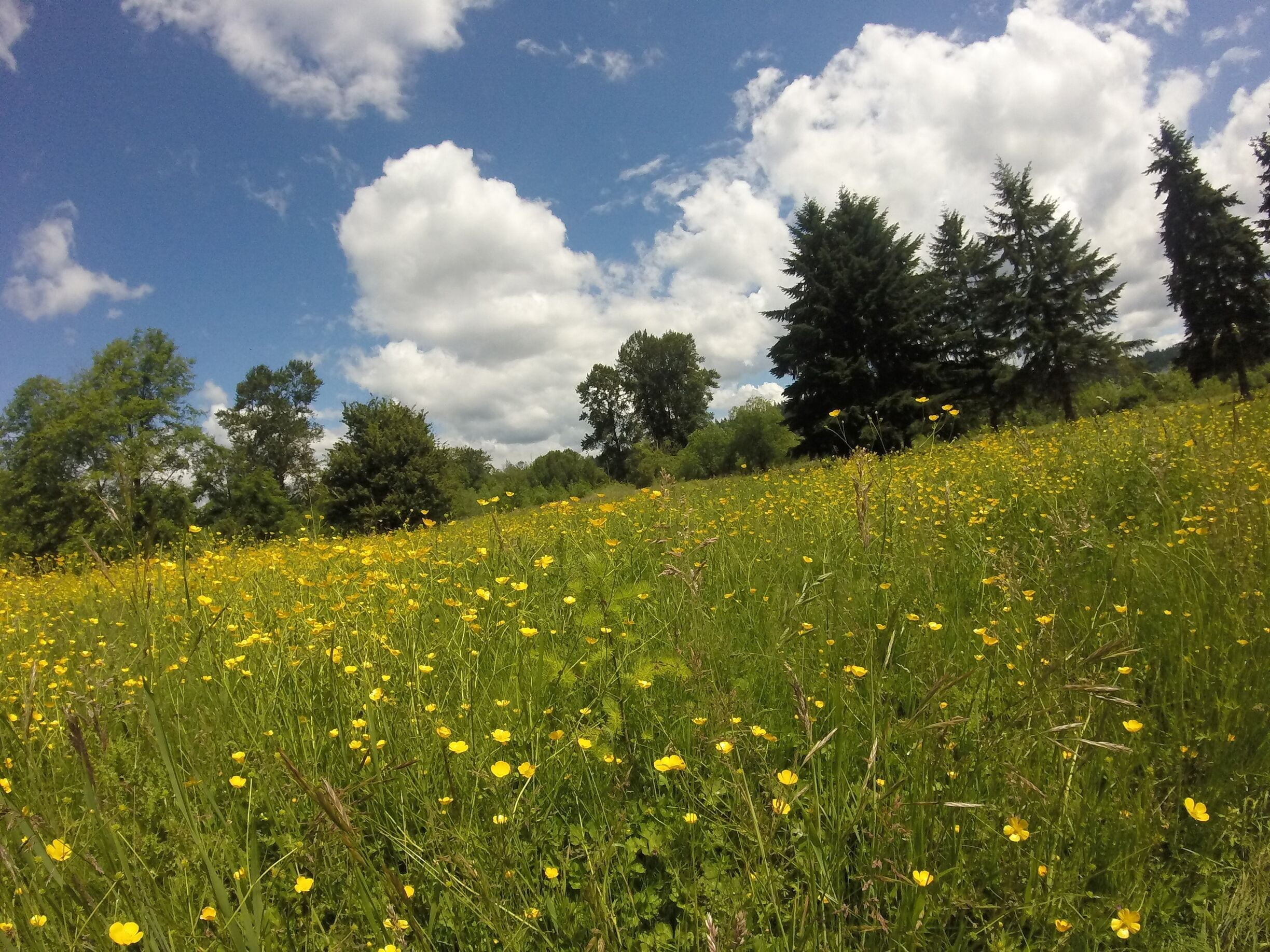 Less than a mile for my apt. I'm very grateful for this place.