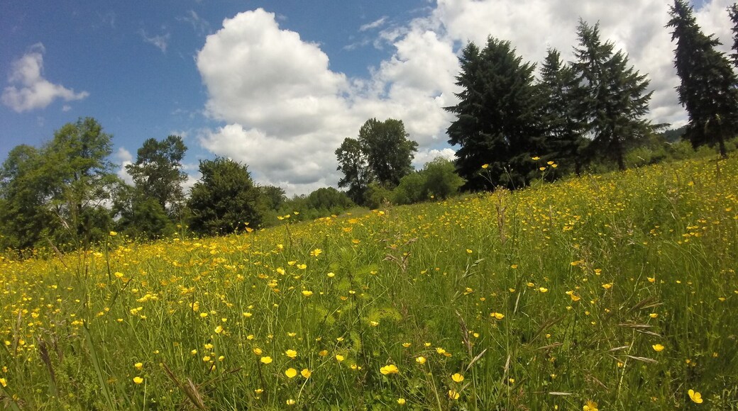 Less than a mile for my apt. I'm very grateful for this place.