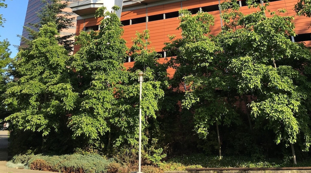 Is this thing functional?