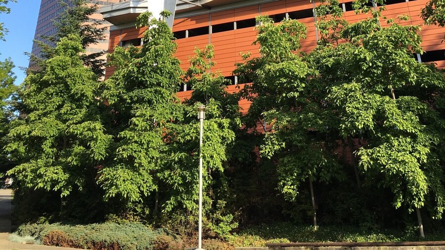 Is this thing functional?