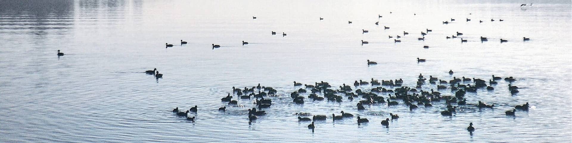 Favorite Dog Park #travel #adventure #beach #nature