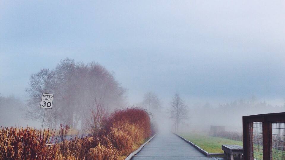 A foggy boardwalk with a speed limit sign of 30.