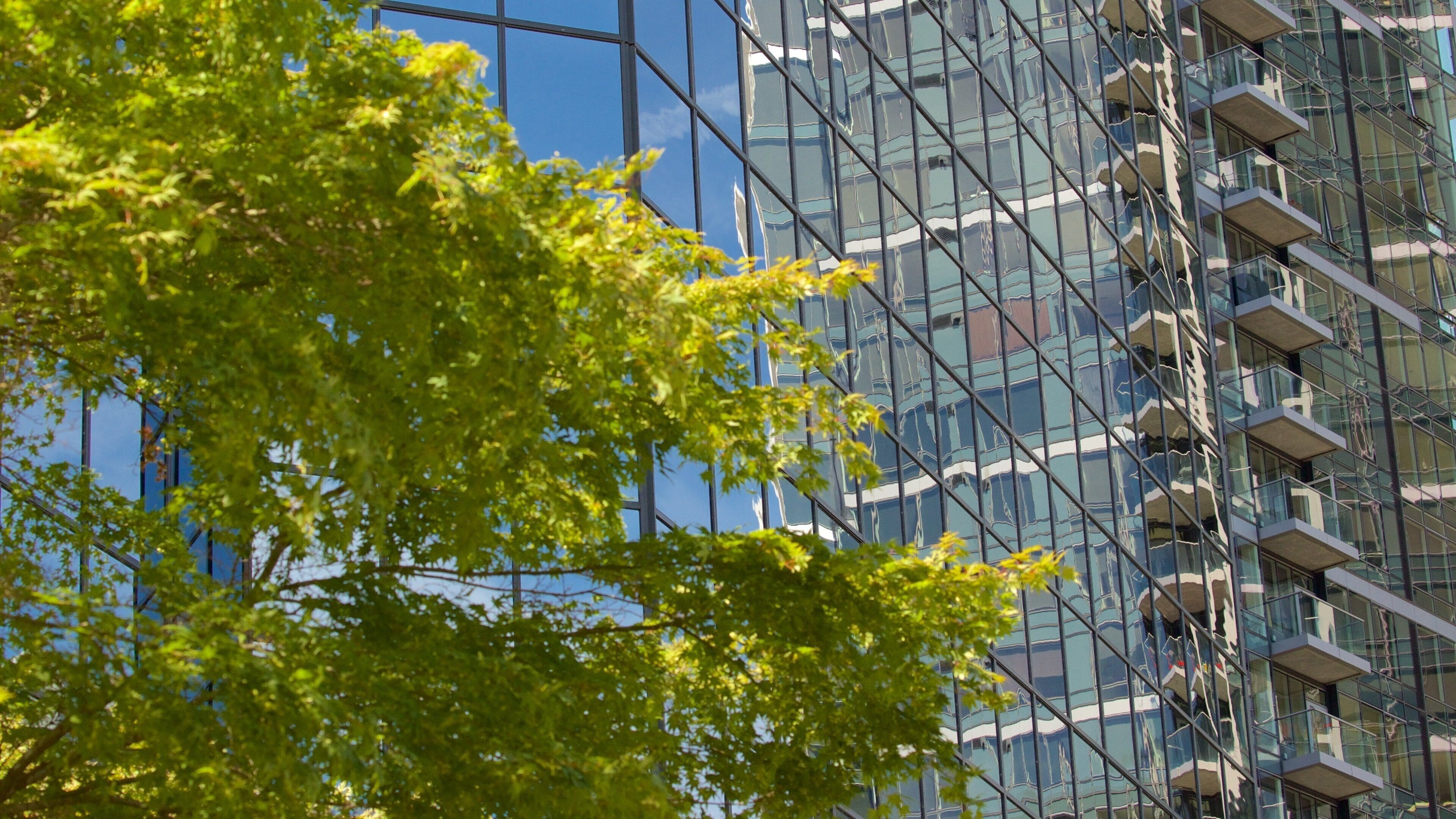 Bellevue showing modern architecture