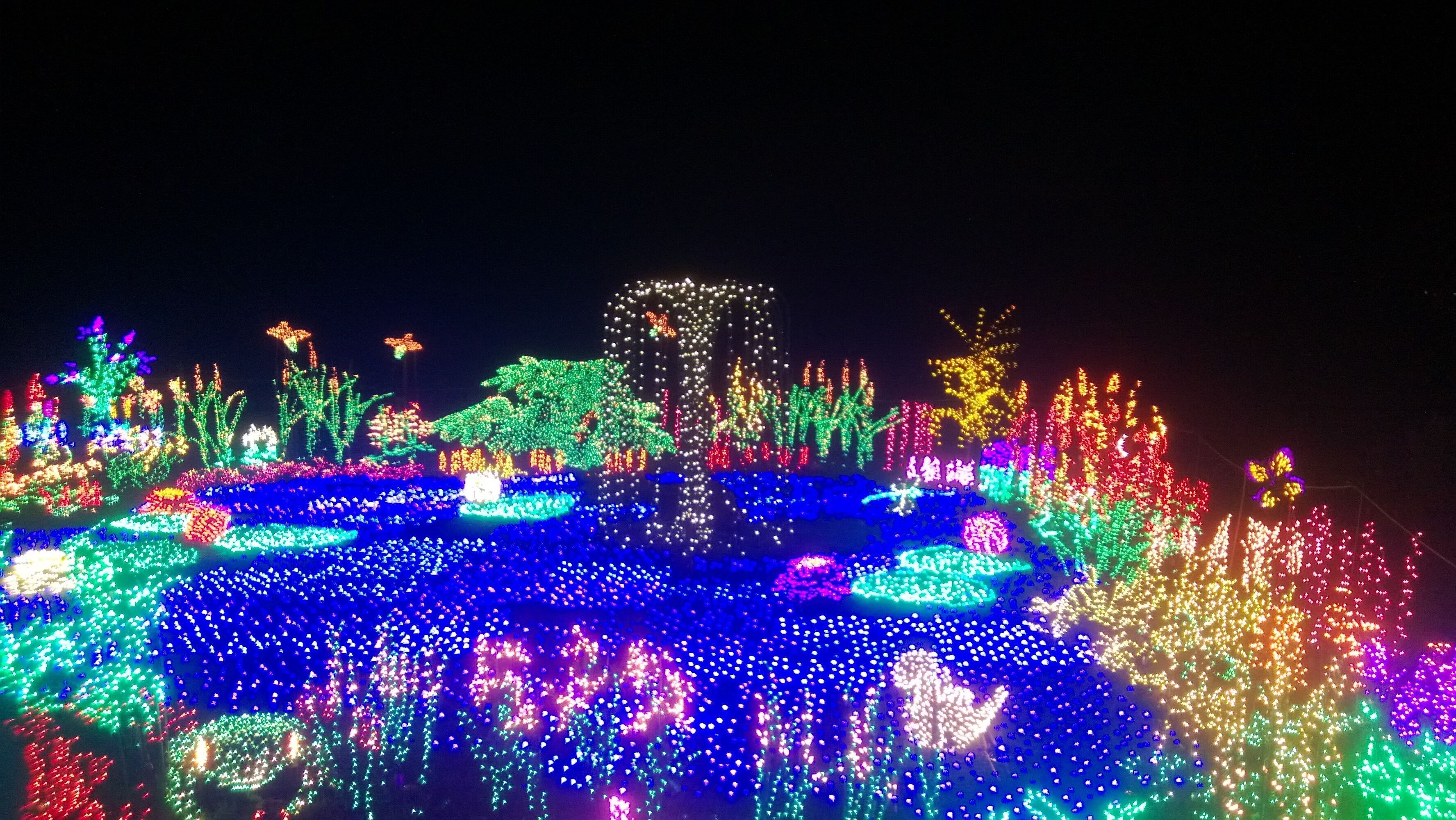 great Xmas lighting show right near downtown Bellevue, WA
#LifeAtExpedia