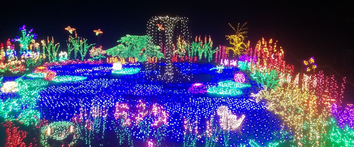 great Xmas lighting show right near downtown Bellevue, WA
#LifeAtExpedia