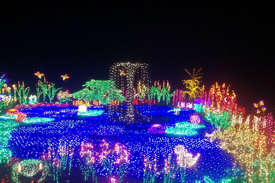 A nighttime view of a garden illuminated with colorful lights, featuring various shapes and patterns.