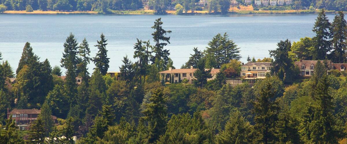 Bellevue showing a lake or waterhole, forest scenes and a house